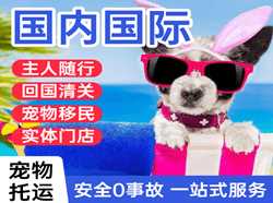 包头东河机场快递国际宠物托运 【国